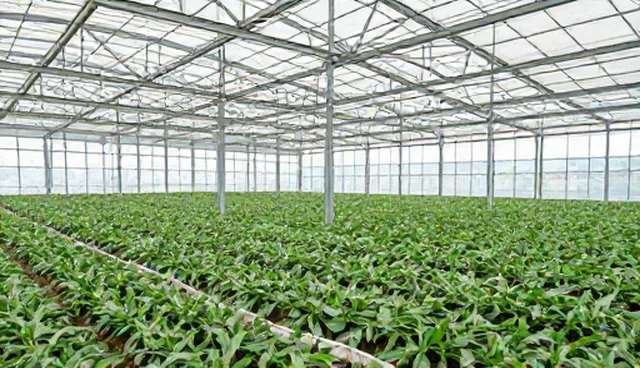 会务服务在多场景下的应用与实践